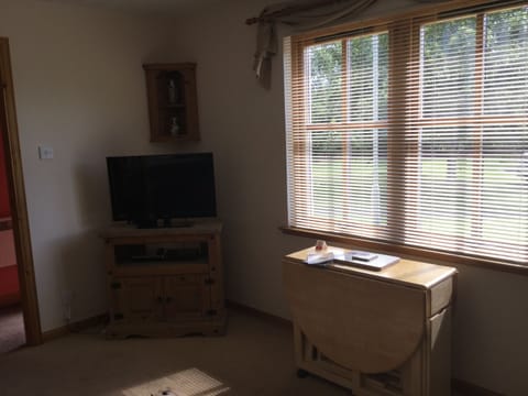 Two-Bedroom Apartment | Room amenity