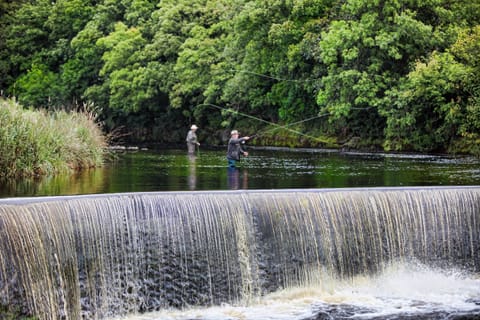 Fishing