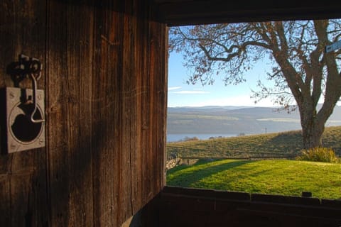 View out of steading door.