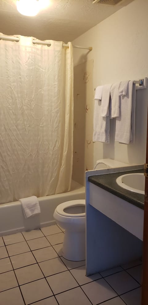 Shower, free toiletries, towels