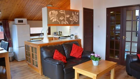 Flat-screen TV, DVD player