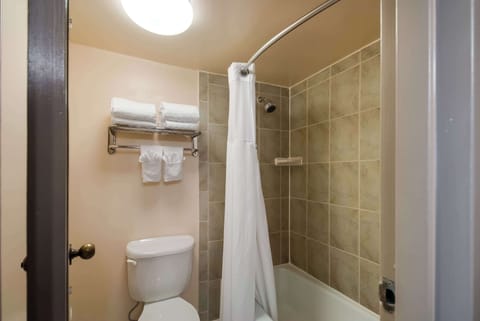 Combined shower/tub, free toiletries, hair dryer, towels