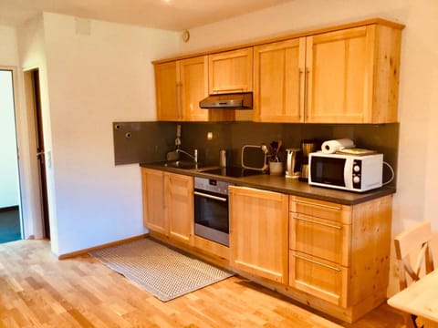 Full-size fridge, microwave, oven, stovetop