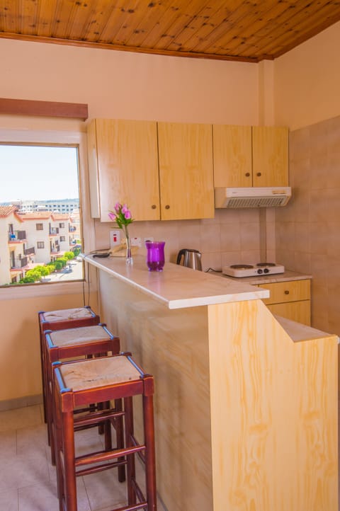 Apartment, 1 Bedroom | Private kitchenette | Fridge, stovetop, coffee/tea maker, electric kettle