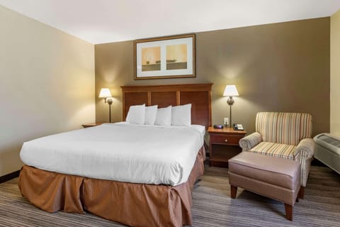 Room, 1 King Bed, Non Smoking | Egyptian cotton sheets, premium bedding, down comforters, pillowtop beds