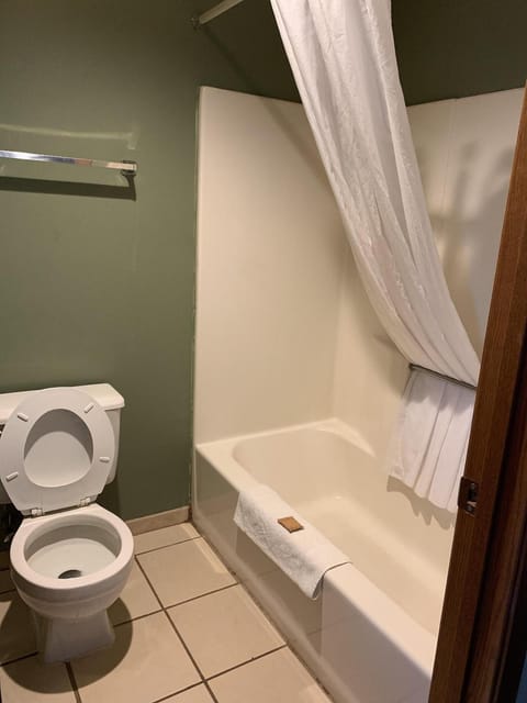 Standard Room, 1 King Bed | Bathroom | Towels
