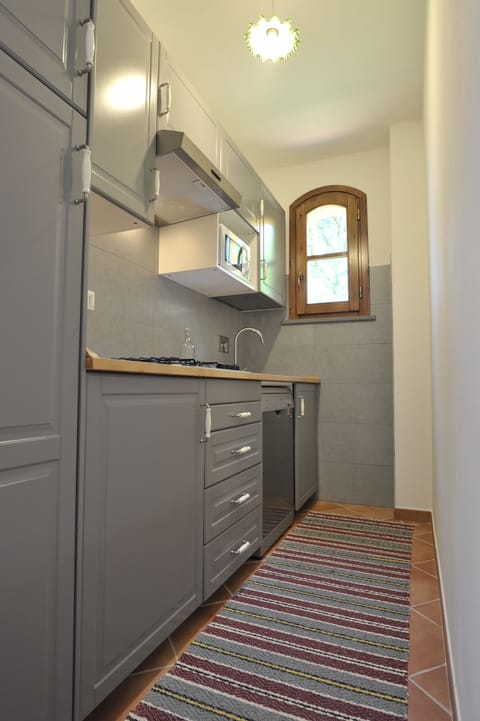 Basic Apartment, Balcony | Private kitchen | Full-size fridge, stovetop, coffee/tea maker, electric kettle