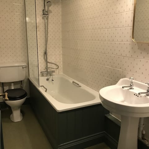 Combined shower/tub, hair dryer, towels