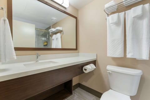 Standard Room, 1 King Bed, Non Smoking, Annex Building (Walk-in Shower) | Bathroom | Free toiletries, hair dryer, towels