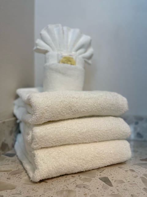 Combined shower/tub, free toiletries, hair dryer, towels