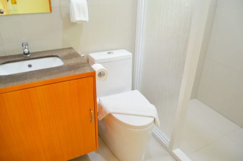 Single Room | Bathroom | Shower, free toiletries, hair dryer, towels