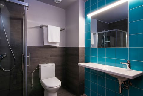 Double Room (Plus) | Bathroom | Shower, free toiletries, hair dryer, towels