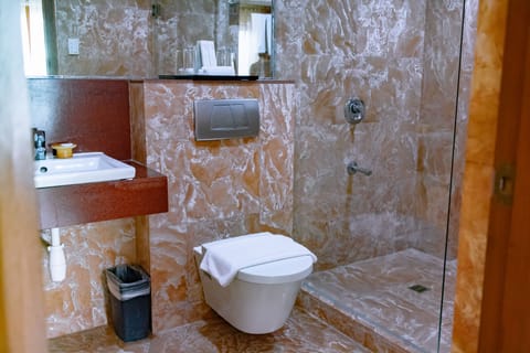 Executive Deluxe Room | Bathroom | Combined shower/tub, rainfall showerhead, free toiletries, hair dryer