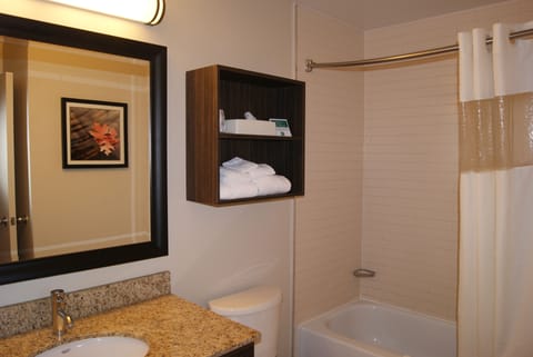 Suite, 1 King Bed with Sofa bed, Non Smoking | Bathroom | Combined shower/tub, eco-friendly toiletries, hair dryer, towels
