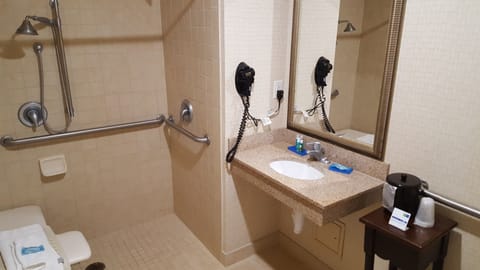 Combined shower/tub, hydromassage showerhead, free toiletries