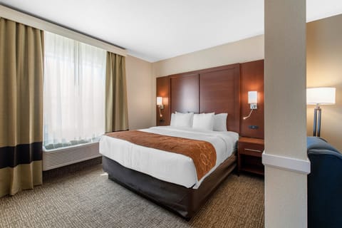 Suite, 1 King Bed, Non Smoking (Efficiency) | Premium bedding, desk, laptop workspace, blackout drapes
