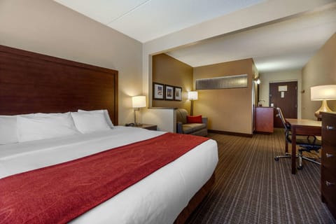 Suite, 1 King Bed with Sofa bed, Non Smoking (Rain shower) | Premium bedding, down comforters, minibar, in-room safe