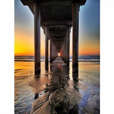 Walk to the Scripps Pier