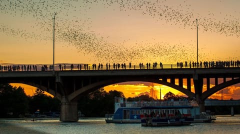 South Congress Bridge!