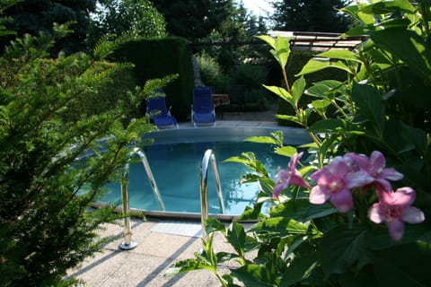 Seasonal outdoor pool, sun loungers