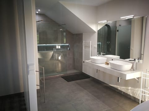 Luxury Executive Suite | Bathroom amenities | Free toiletries, hair dryer, towels