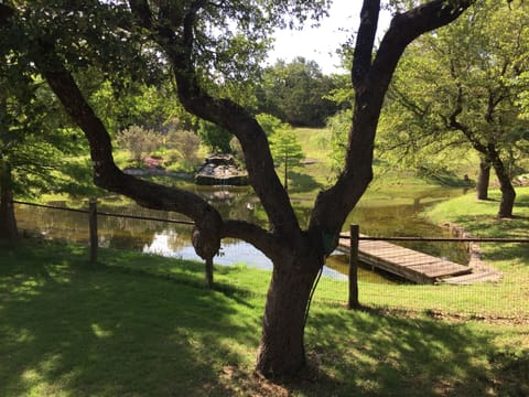 Pond from Circular Driveway