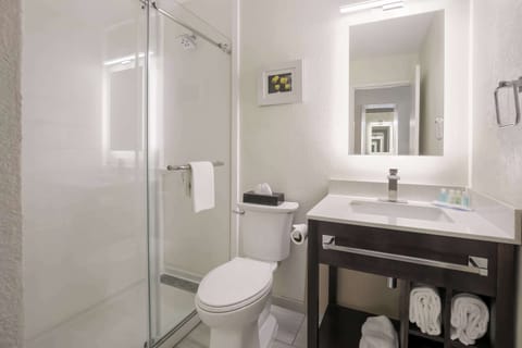 Standard Room, 1 King Bed with Sofa bed, Non Smoking | Desk, blackout drapes, iron/ironing board, rollaway beds