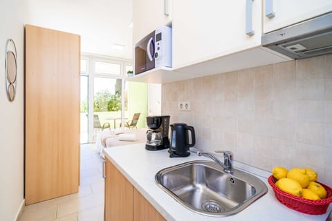 Traditional Studio, Terrace, Garden View | Private kitchen | Fridge, microwave, stovetop, coffee/tea maker