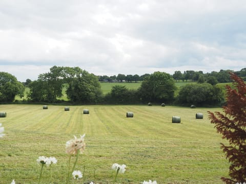 Traditional Chalet, 2 Bedrooms, Garden View, Garden Area | View from room