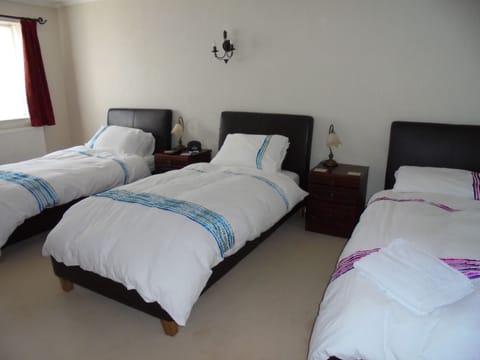 Triple Room | Soundproofing, iron/ironing board, free WiFi, bed sheets