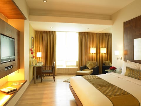 Executive Room | View from room