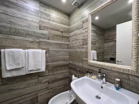 Classic Double Room | Bathroom | Shower, free toiletries, hair dryer, bathrobes