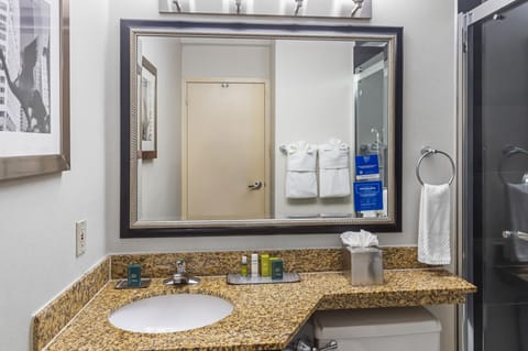 Presidential Suite, 1 King Bed | Bathroom | Free toiletries, hair dryer, towels