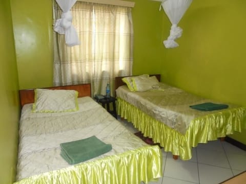 Standard Twin Room, 2 Twin Beds, Non Smoking | Desk, soundproofing, iron/ironing board, free WiFi