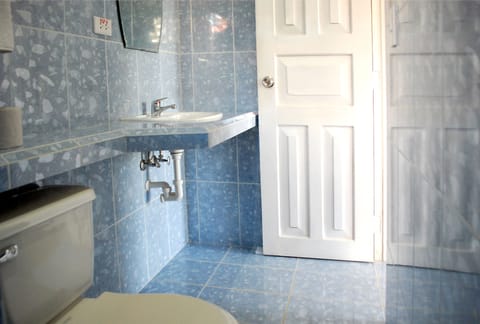 Basic Double or Twin Room | Bathroom | Shower, free toiletries, towels