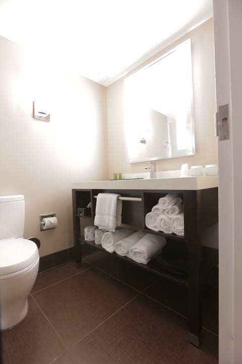 Combined shower/tub, free toiletries, hair dryer, towels