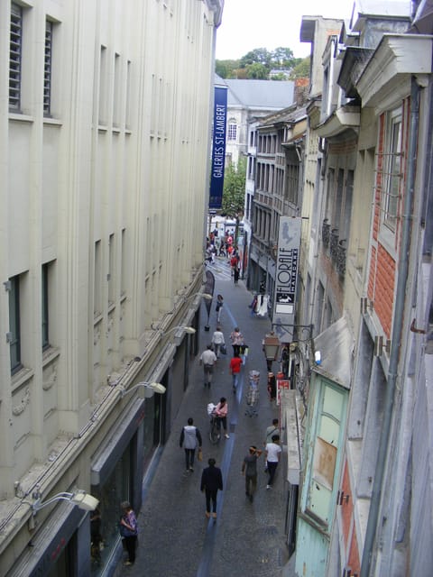 Standard Apartment | View from room