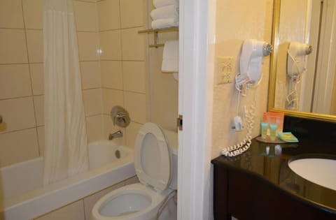 Combined shower/tub, free toiletries, hair dryer, towels