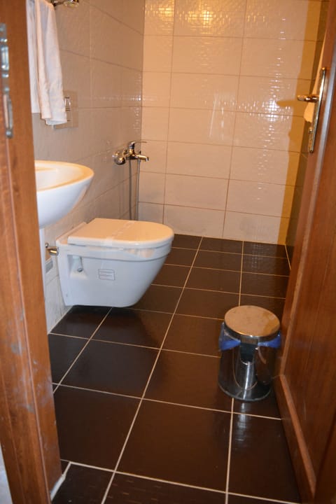 Standard Double Room | Bathroom | Shower, free toiletries, hair dryer, slippers