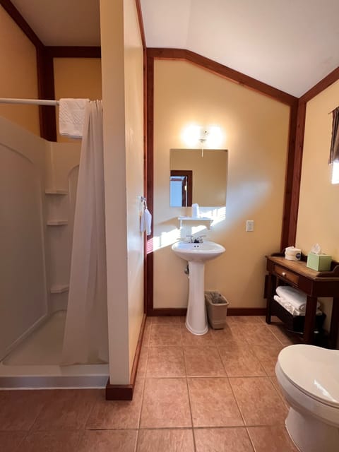 Deluxe Triple Room | Bathroom | Shower, hair dryer, towels, soap