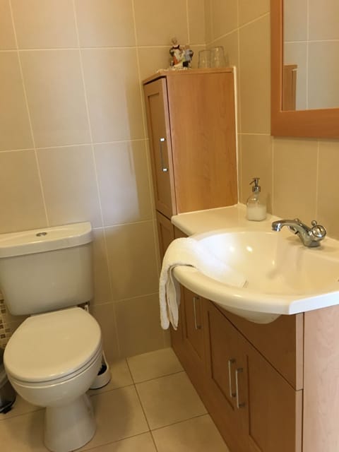 Deluxe Double Room, 1 Queen Bed, Mountain View | Bathroom | Shower, free toiletries, hair dryer, towels