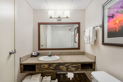 Combined shower/tub, hair dryer, towels