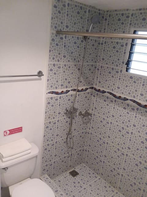 Twin Room | Bathroom | Shower, free toiletries, hair dryer, towels