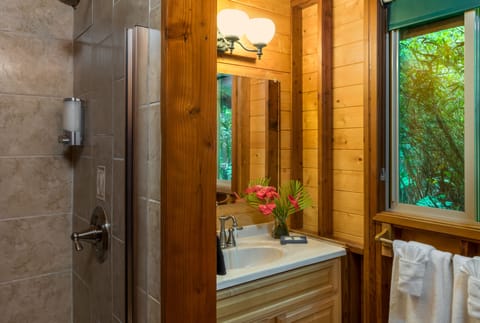 Room, 1 Queen Bed, Private Bathroom | Bathroom | Free toiletries, hair dryer, bathrobes, towels