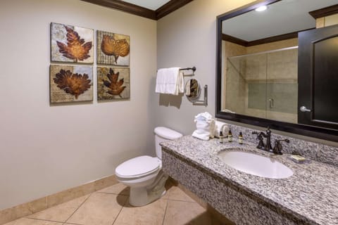 Presidential Suite, 1 King Bed, Non Smoking | Bathroom | Combined shower/tub, free toiletries, hair dryer, towels