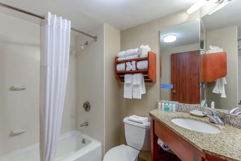 Suite, 1 King Bed, Non Smoking | Bathroom | Free toiletries, hair dryer, bathrobes, towels