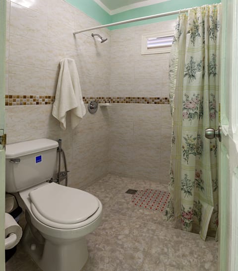 Premium Double or Twin Room | Bathroom | Shower, free toiletries, hair dryer, towels