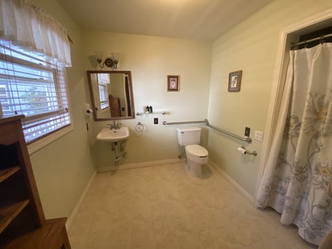 Hummingbird Room, 1 Queen Bed, Accessible, Ground Floor | Bathroom | Designer toiletries, hair dryer, towels