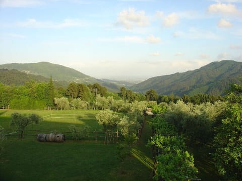 One of Podere Consani's views