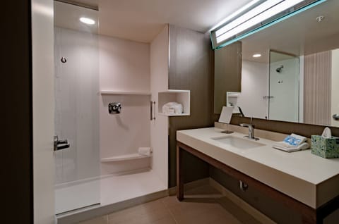Room, 1 King Bed with Sofa bed | Bathroom | Designer toiletries, hair dryer, towels